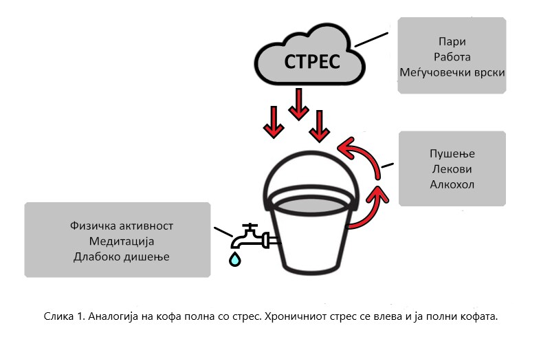 Аналогија на кофа полна со стрес. Хроничниот стрес се влева и ја полни кофата.